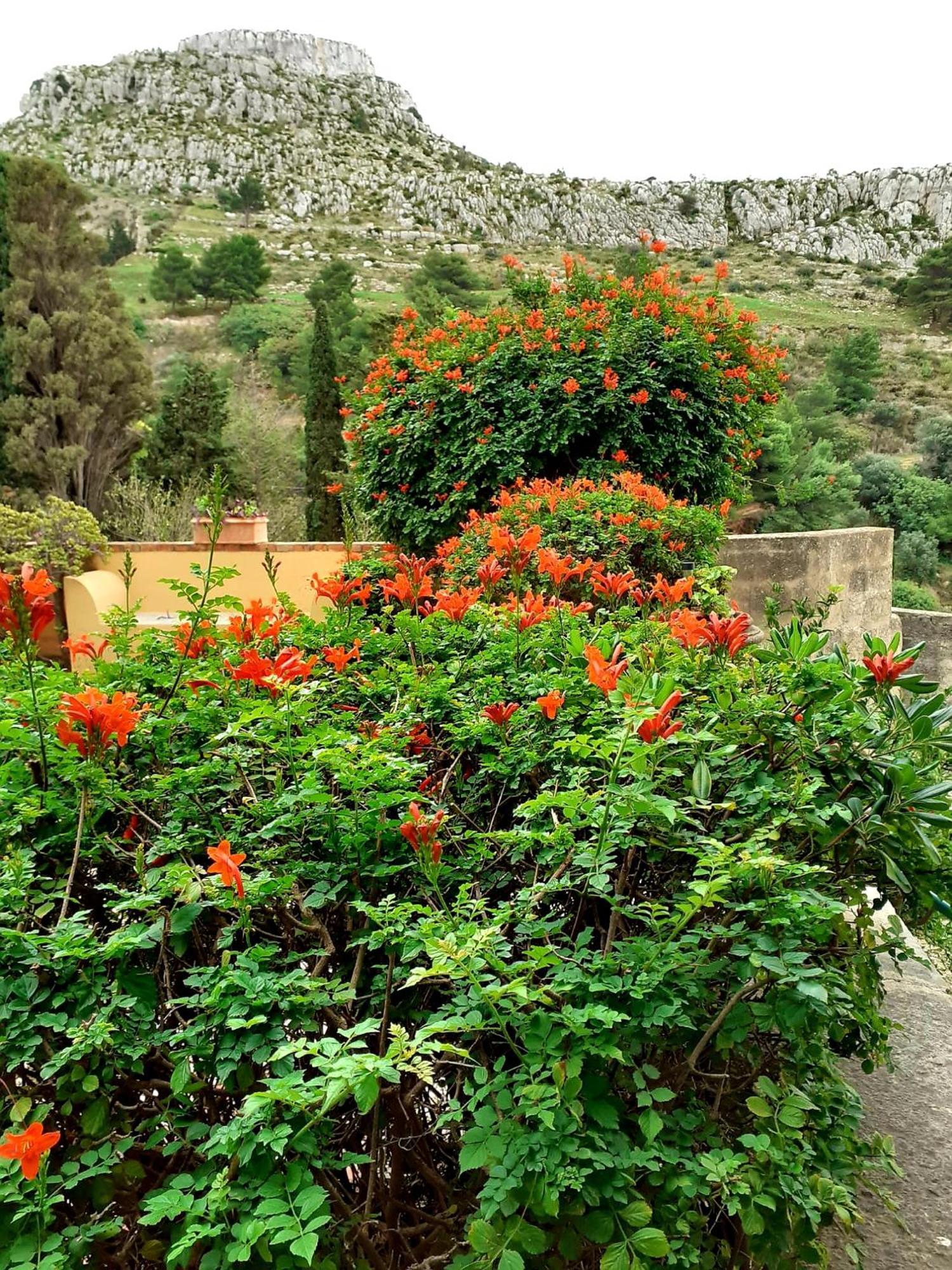 Casa "Le Terrazze" Villa Erice Eksteriør billede
