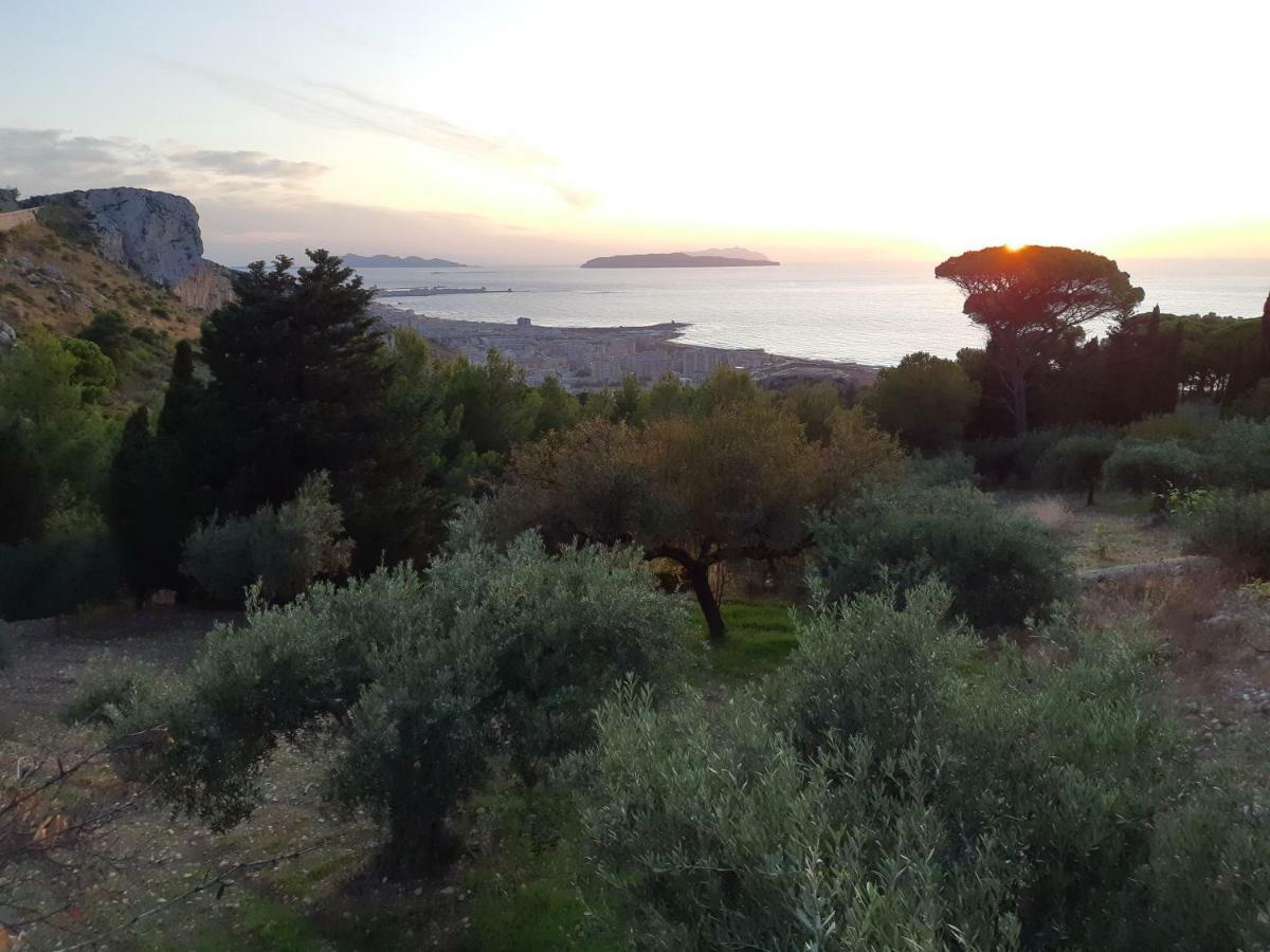 Casa "Le Terrazze" Villa Erice Eksteriør billede