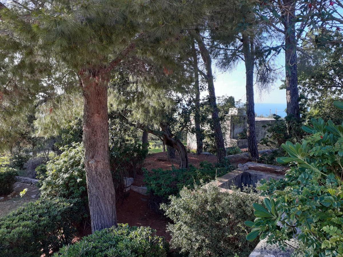 Casa "Le Terrazze" Villa Erice Eksteriør billede